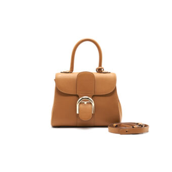 Delvaux Brilliant Mini Box Calf in Vison