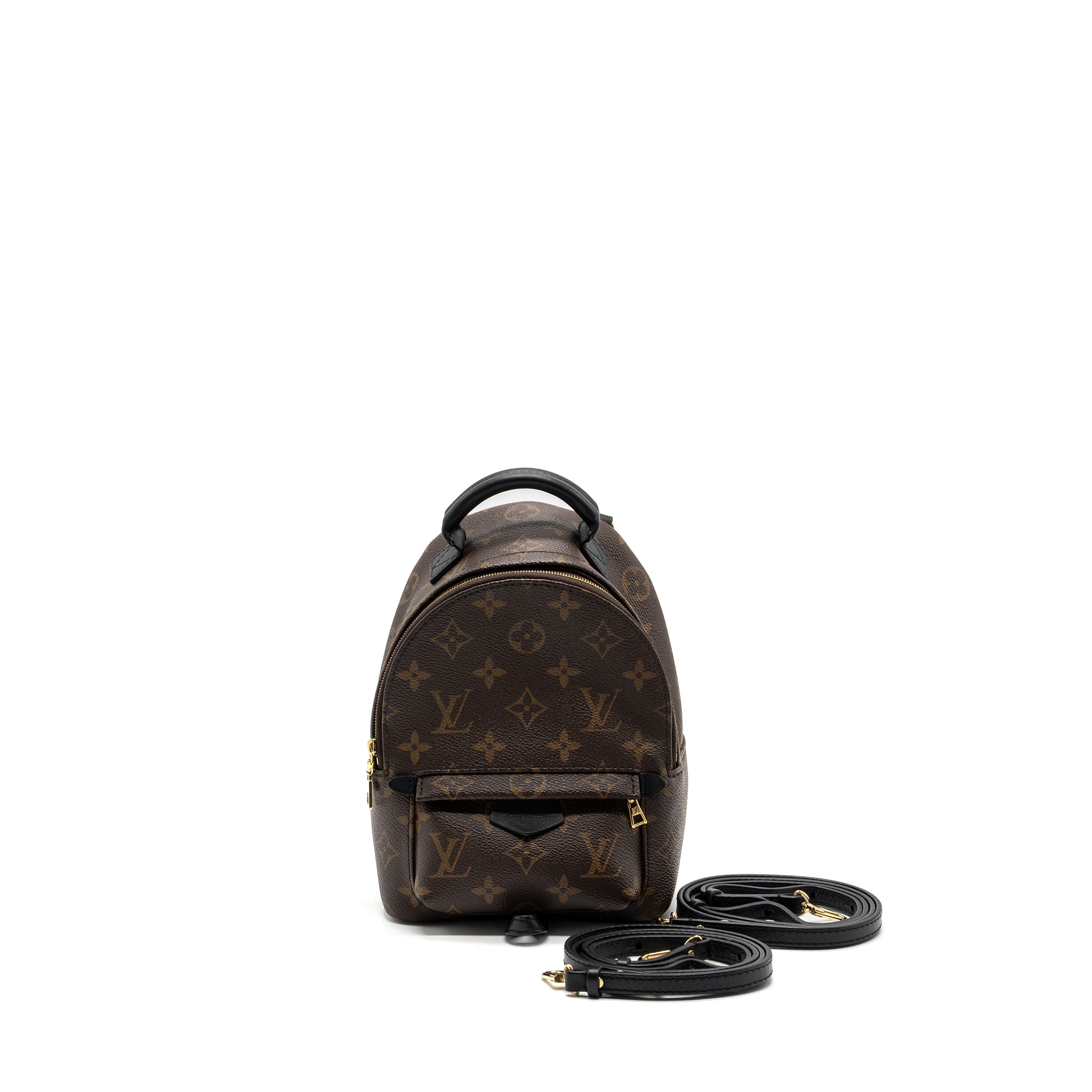 Louis Vuitton Mini Palm Spring Backpack Monogram Canvas GHW