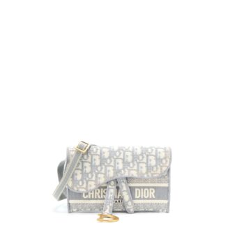 Dior Saddle Slim Pouch Light Grey Dior Oblique Embroidery
