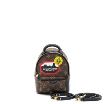 Louis Vuitton Palm Spring Mini Backpack limited Edition