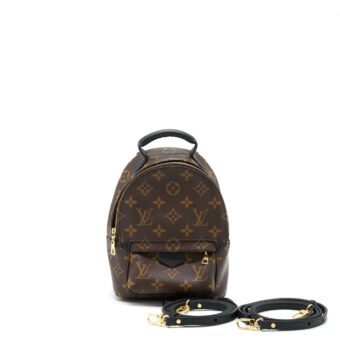 Louis Vuitton Palm Springs Mini Backpack Monogram Canvas GHW