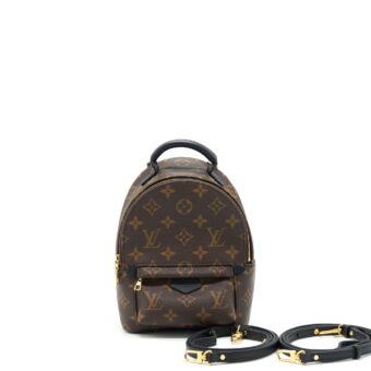 Louis Vuitton Palm Springs Mini Backpack Monogram Canvas New Zipper