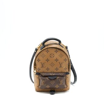 Louis Vuitton Palm Spring Mini Backpack Monogram Canvas