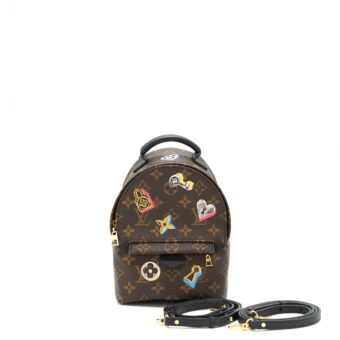 Louis Vuitton Palm spring mini limited edition Monogram