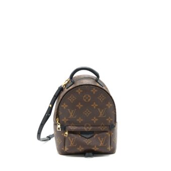 Louis Vuitton Spring mini Backpack monogram canvas