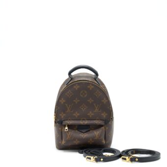 Louis Vuitton Palm Spring Mini Backpack Monogram Canvas New Zipper