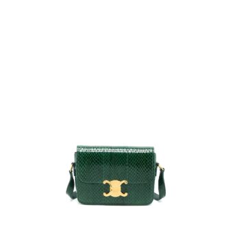 Celine Triomphe Bag Water Snake Leather Green GHW
