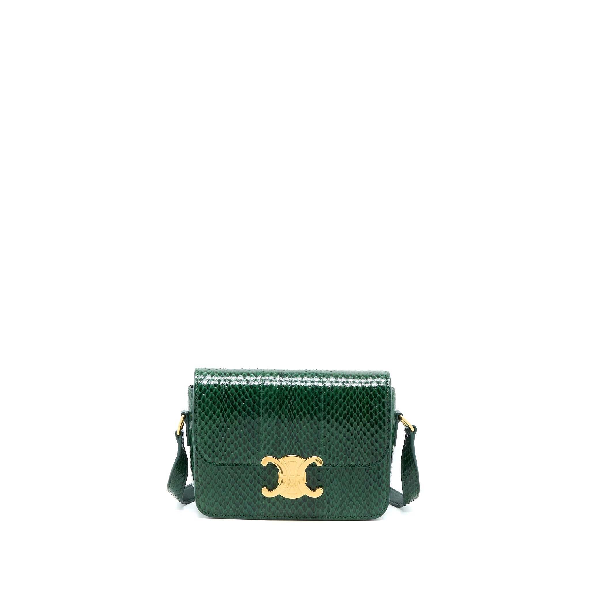 Celine Triomphe Bag Water Snake Leather Green GHW
