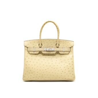 Hermes birkin 30 Parchemin Ostrich SHW stamp T