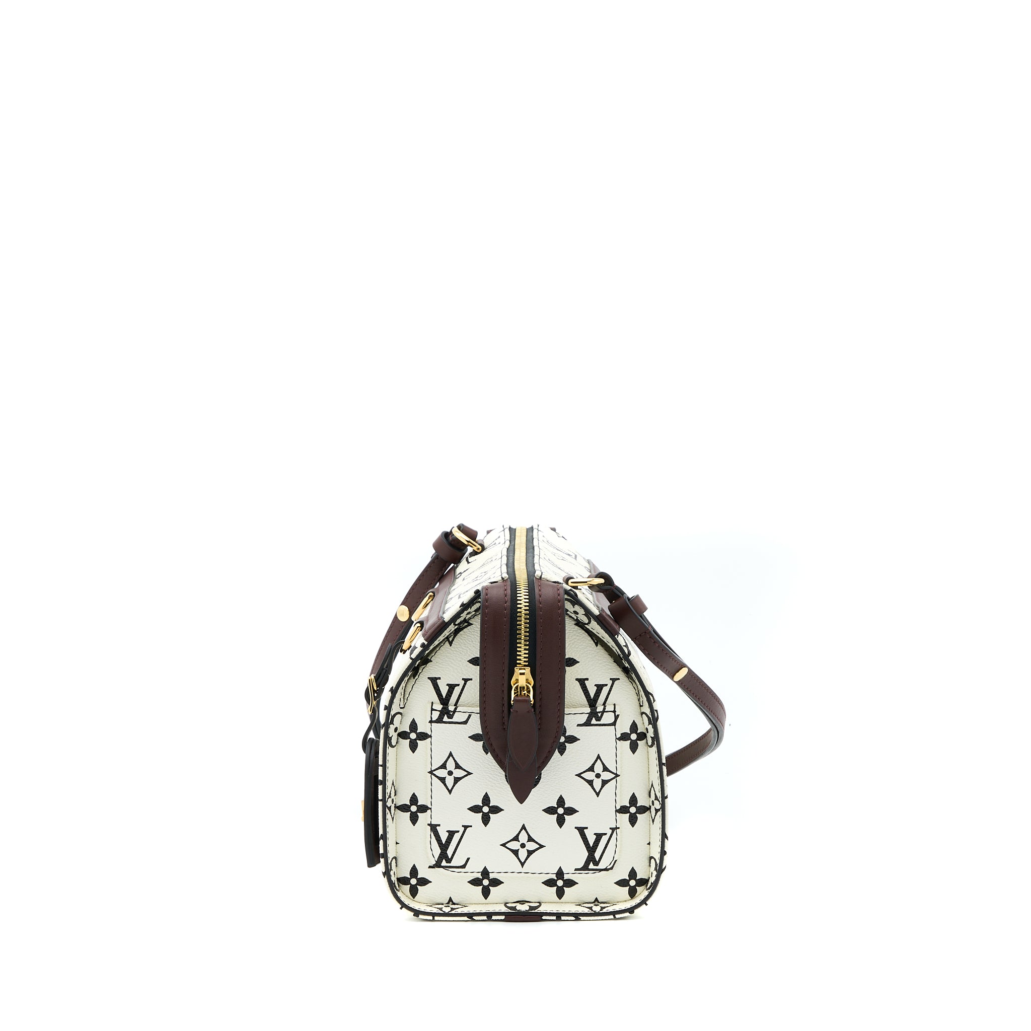 Louis Vuitton Speedy Amazon PM Bag Monogram Canvas Multicoloured GHW - Image 3