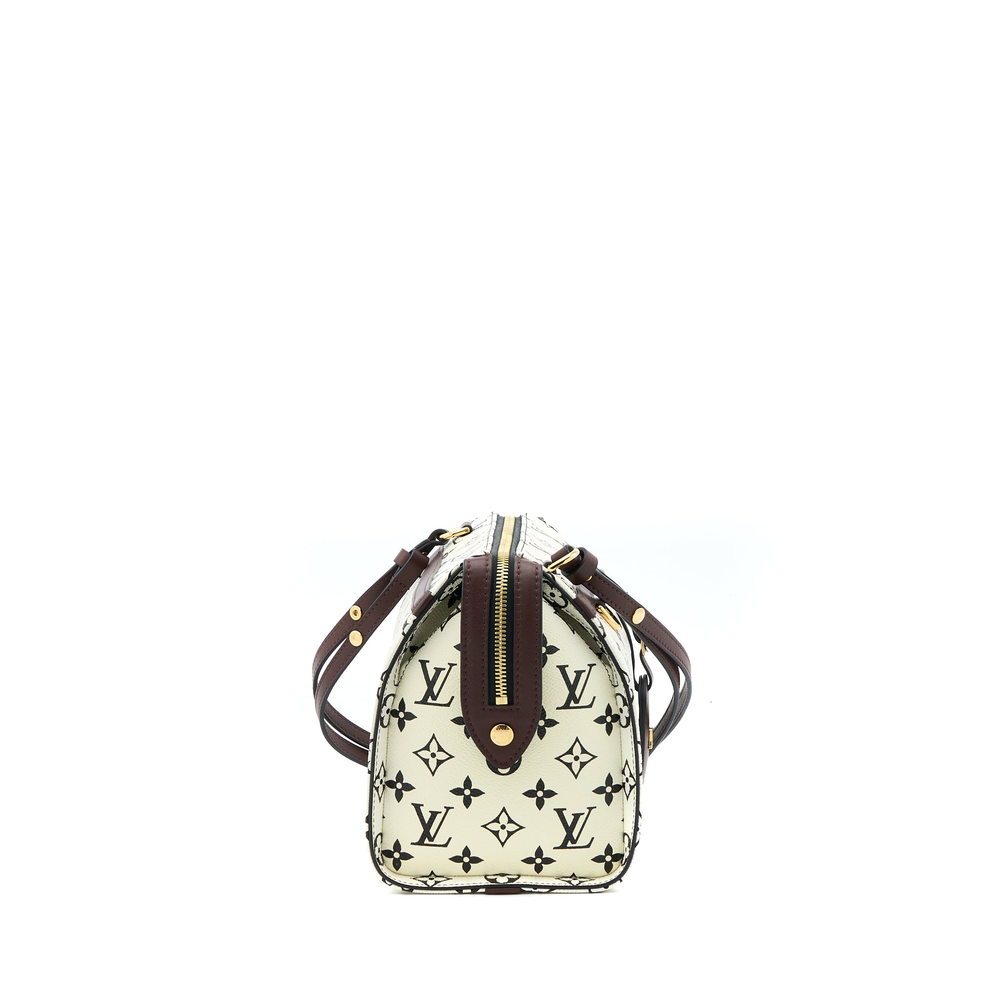 Louis Vuitton Speedy Amazon PM Bag Monogram Canvas Multicoloured GHW - Image 4
