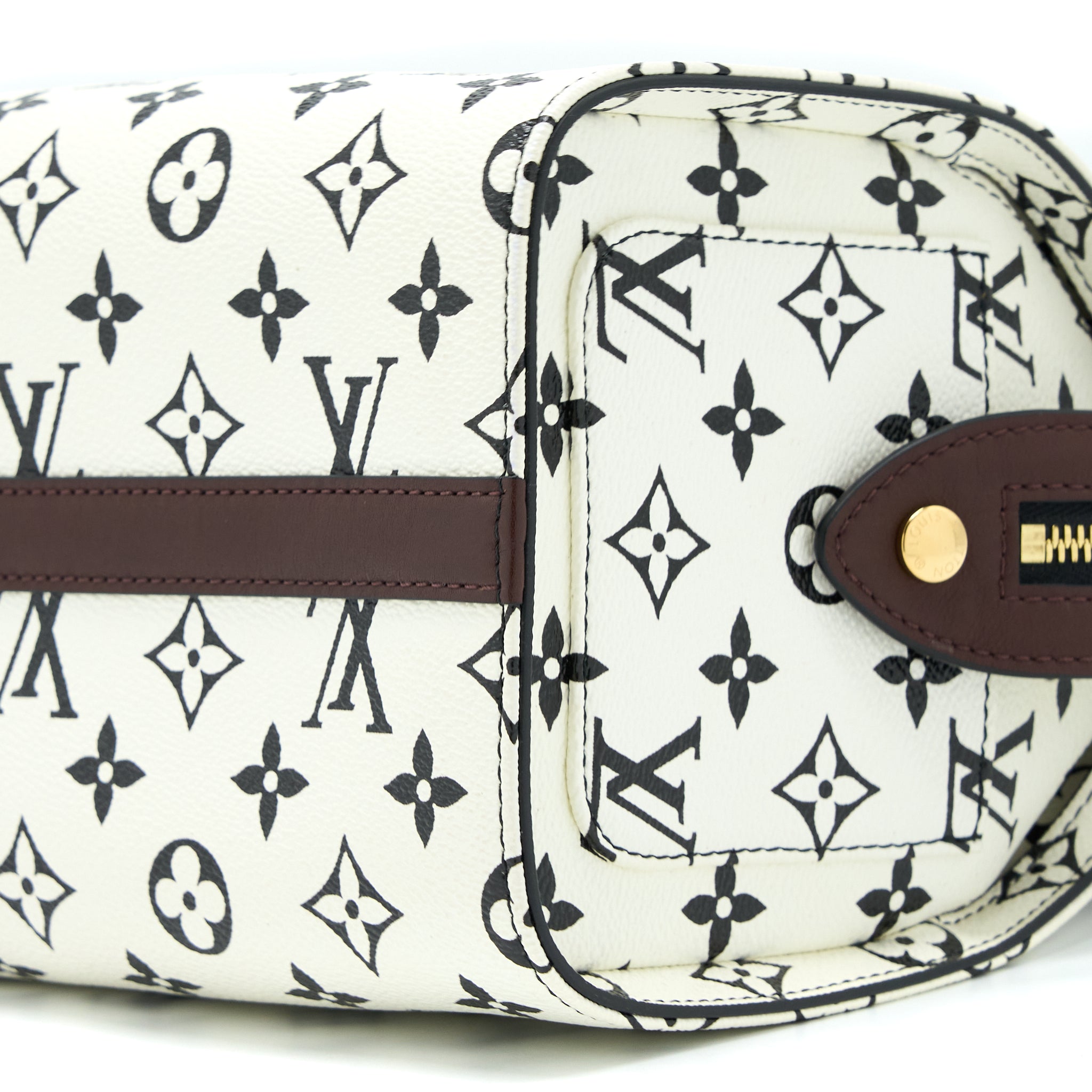 Louis Vuitton Speedy Amazon PM Bag Monogram Canvas Multicoloured GHW - Image 12