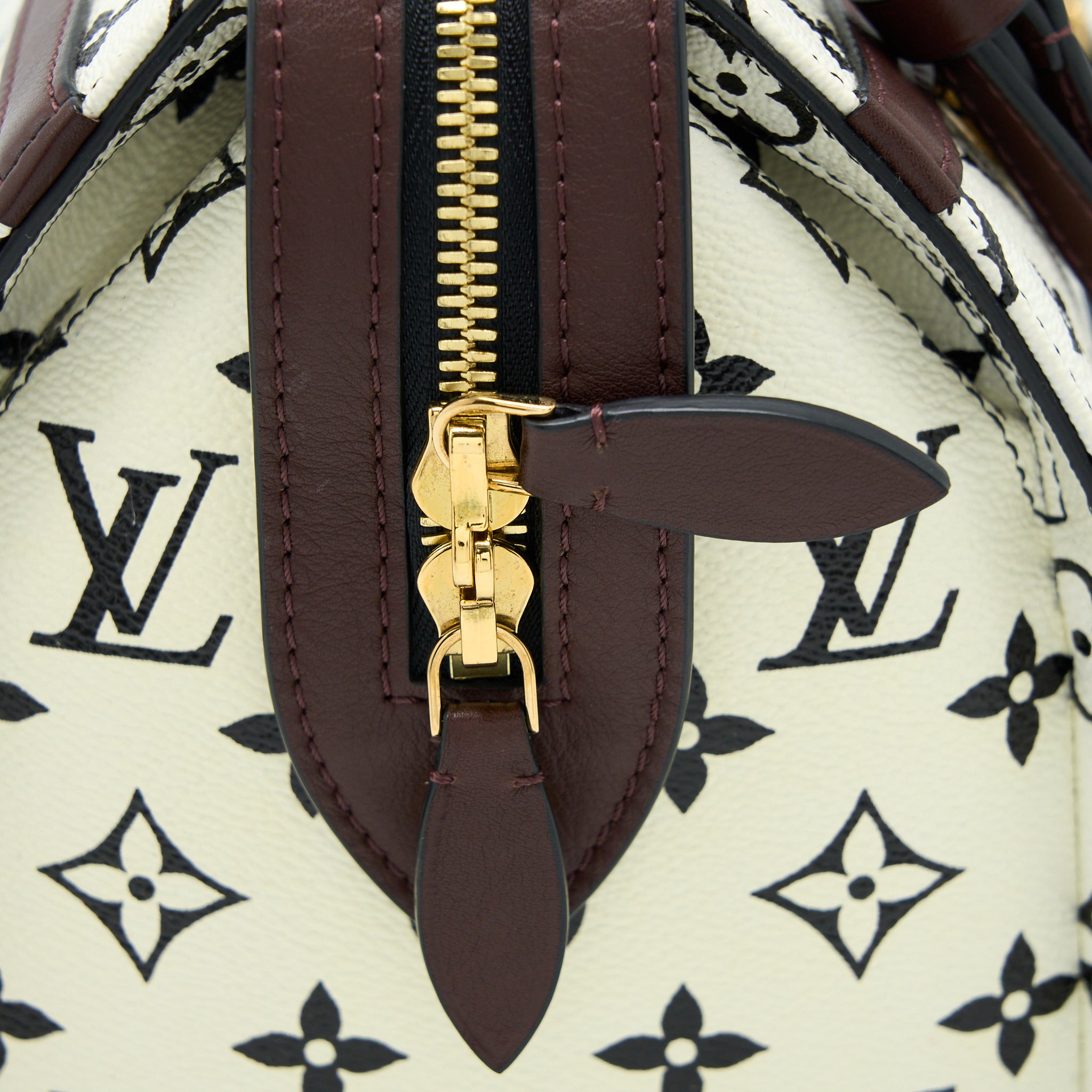 Louis Vuitton Speedy Amazon PM Bag Monogram Canvas Multicoloured GHW - Image 8