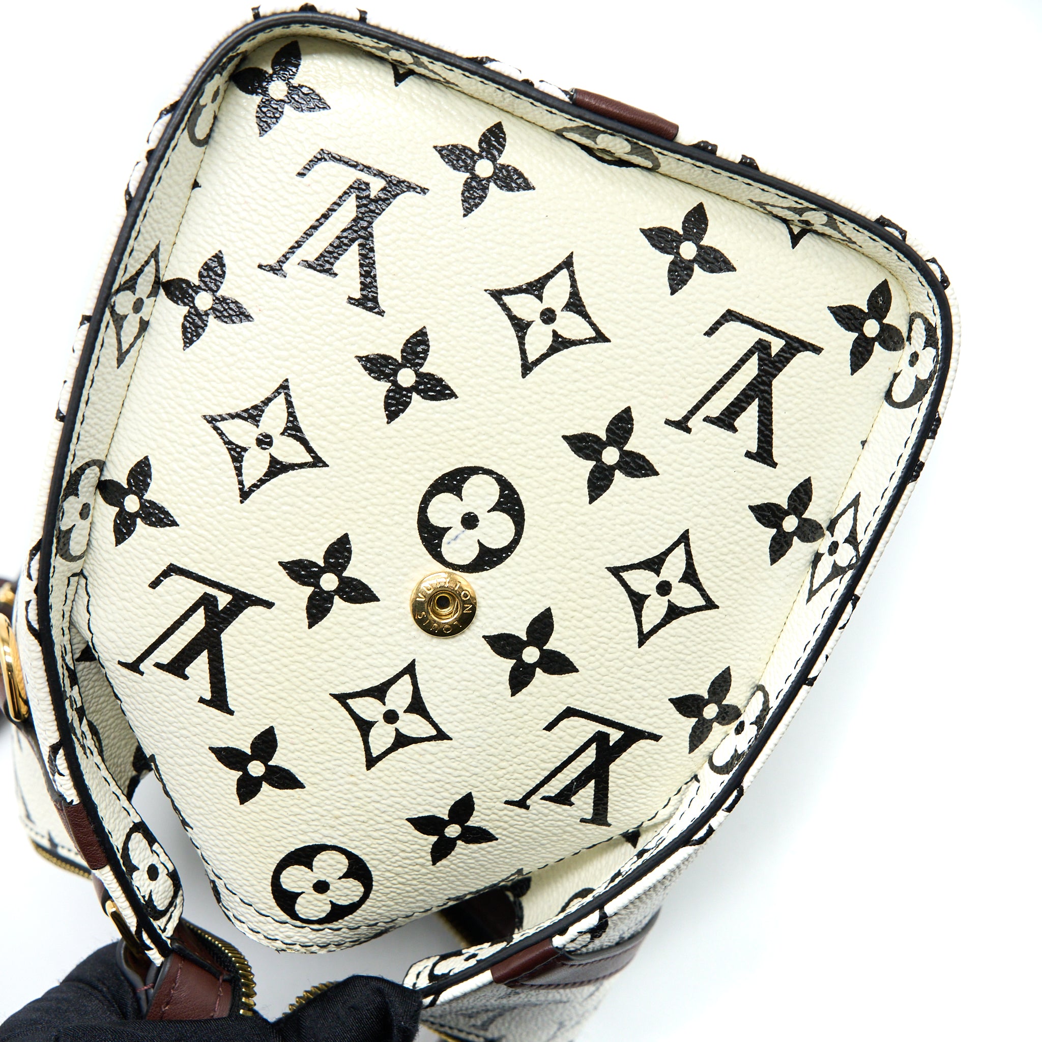 Louis Vuitton Speedy Amazon PM Bag Monogram Canvas Multicoloured GHW - Image 11