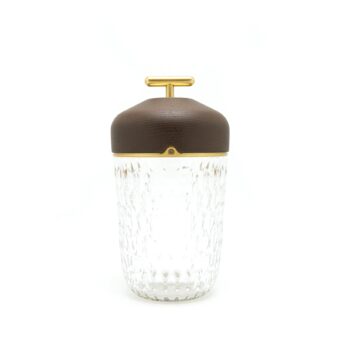 Hermes × Saint Louis Folia Portalbe Lamp Dark Ash