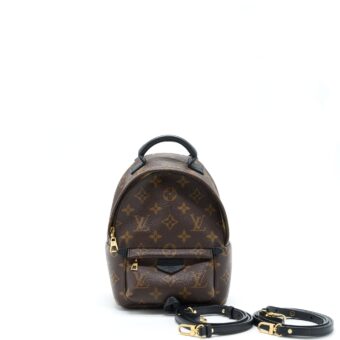 Louis Vuitton Palm Spring Mini Backpack Monogram Canvas GHW