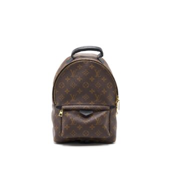 Louis Vuitton Palm Spring PM new zipper