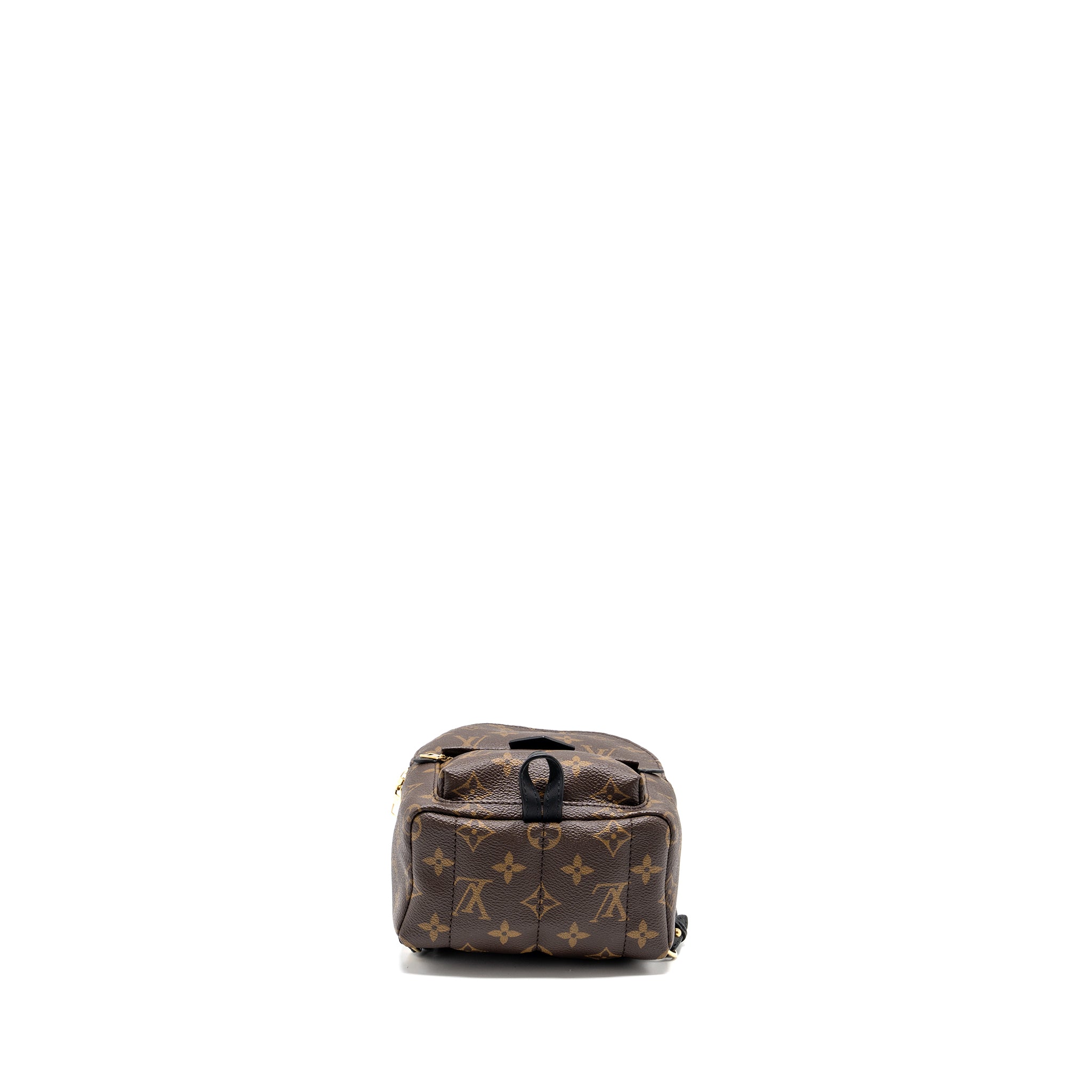 Louis Vuitton Mini Palm Spring Backpack Monogram Canvas GHW - Image 5