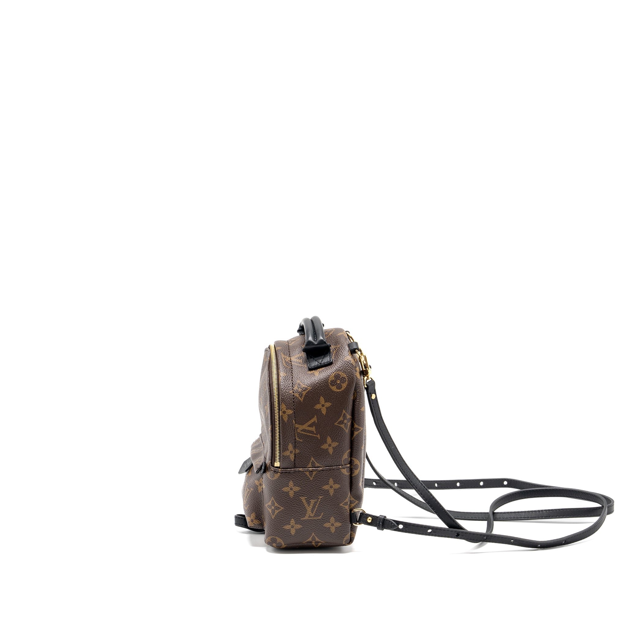 Louis Vuitton Mini Palm Spring Backpack Monogram Canvas GHW - Image 4
