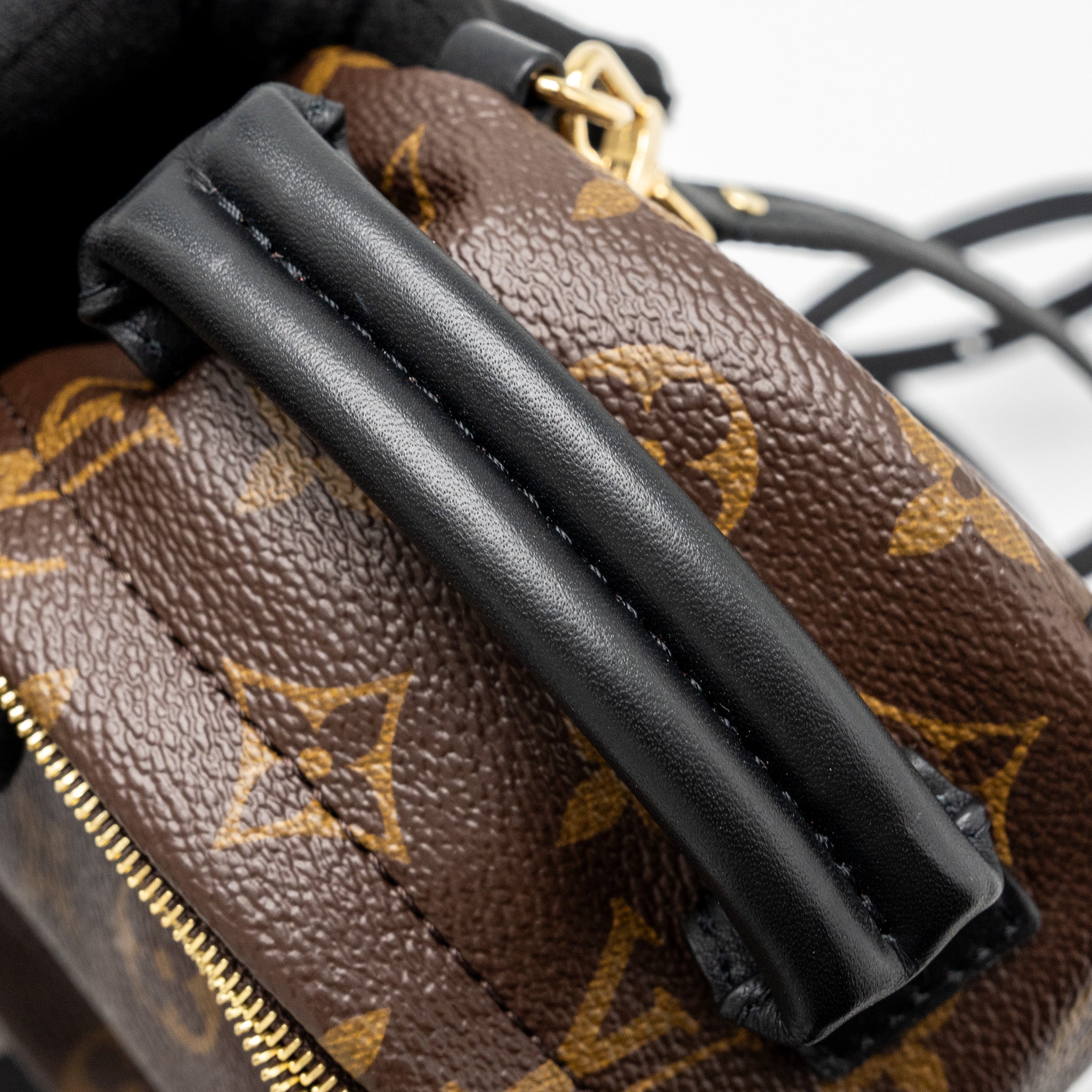 Louis Vuitton Mini Palm Spring Backpack Monogram Canvas GHW - Image 9