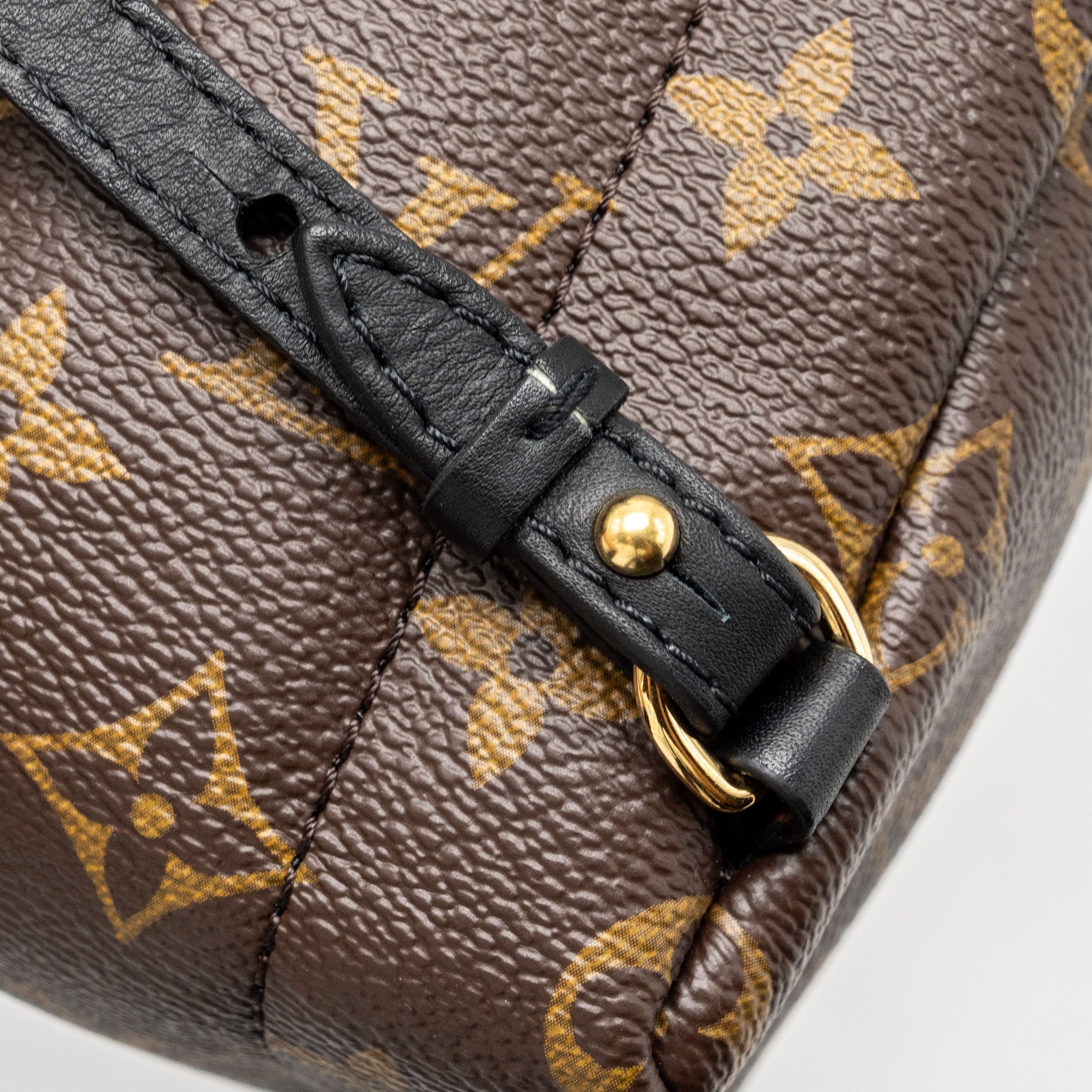 Louis Vuitton Mini Palm Spring Backpack Monogram Canvas GHW - Image 11