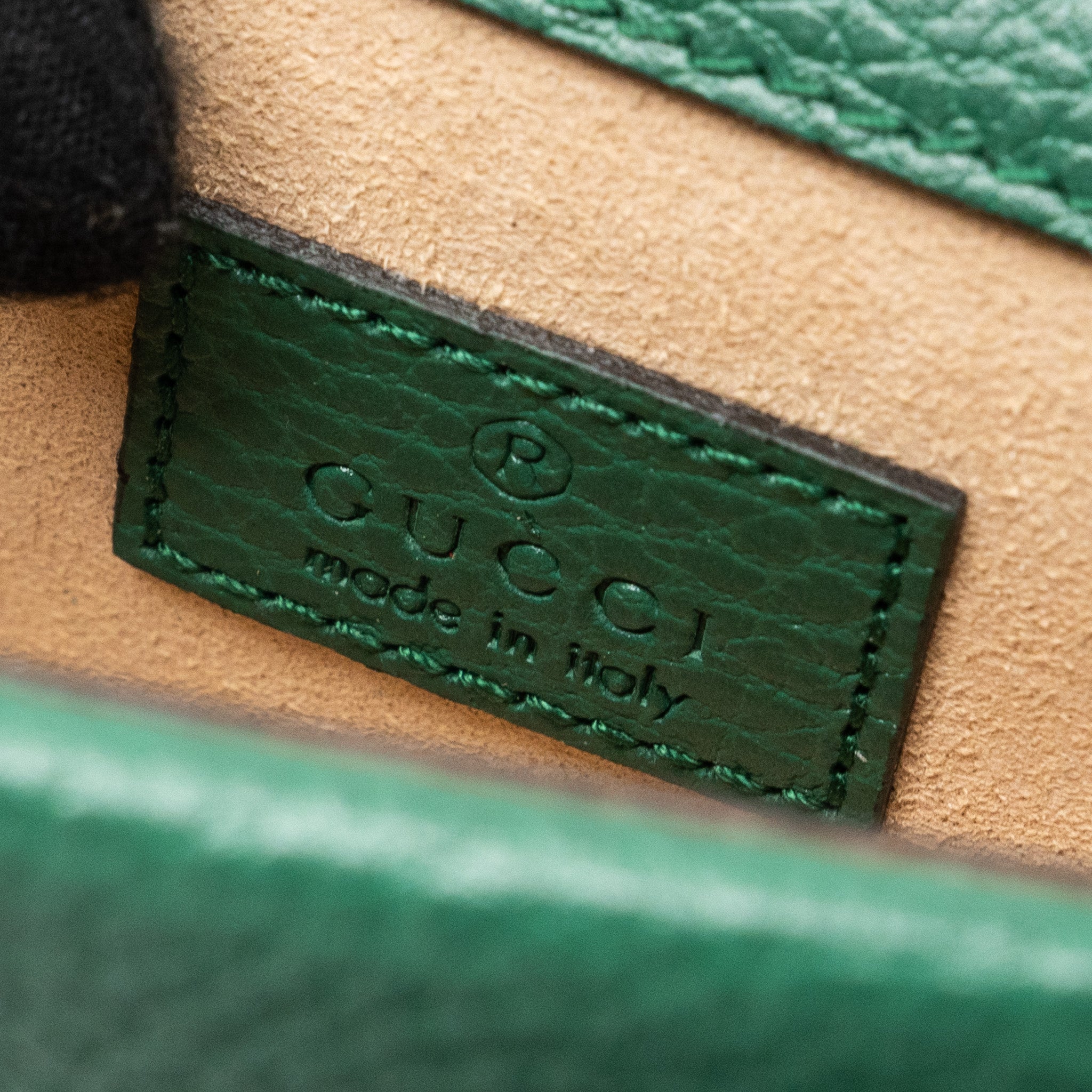 Gucci Dionysus Super Mini Leather Green GHW - Image 11